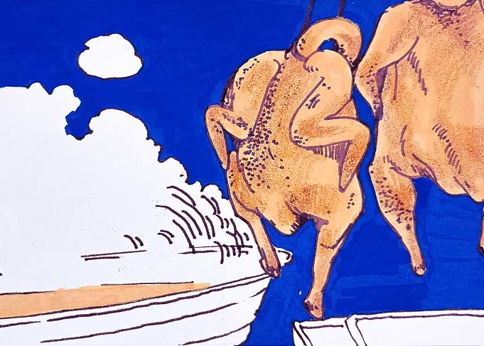Stylized Illustration of Raw Chickens