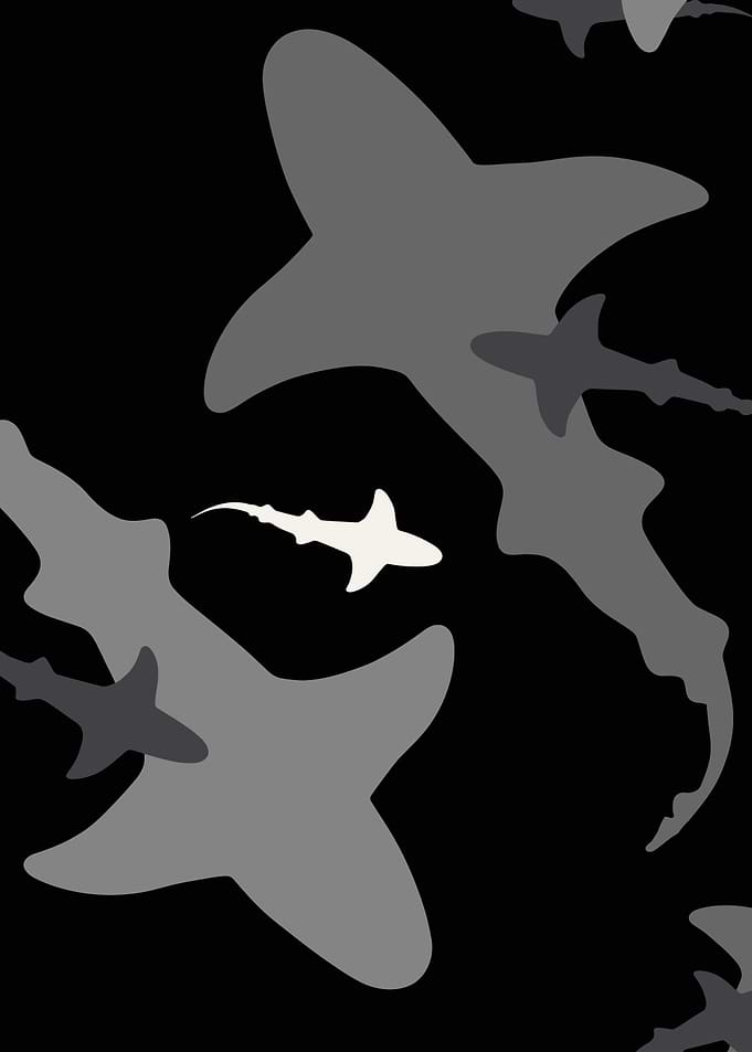 Minimalist Shark Pattern Illustration