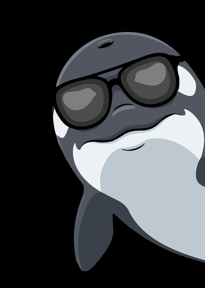 Cool Cartoon Orca Whale Wearing Sunglasses