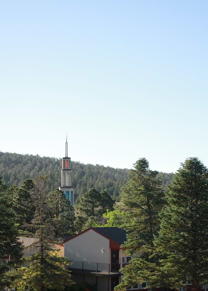 Church Spire Amidst Pine Forest