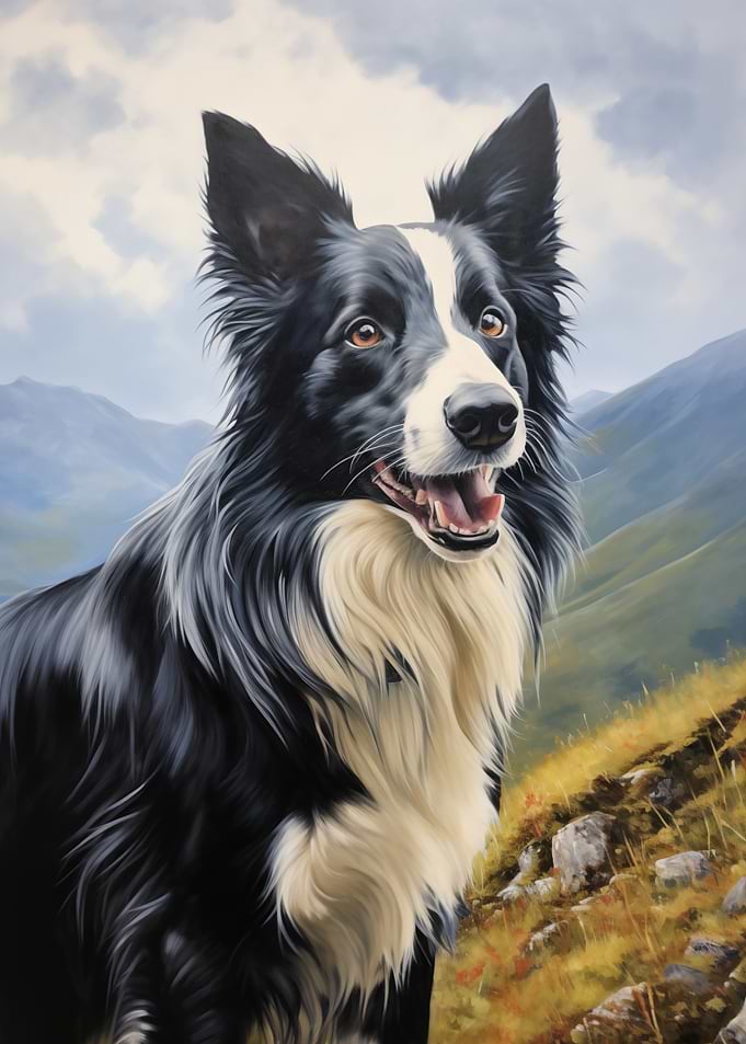 Portrait of a Border Collie