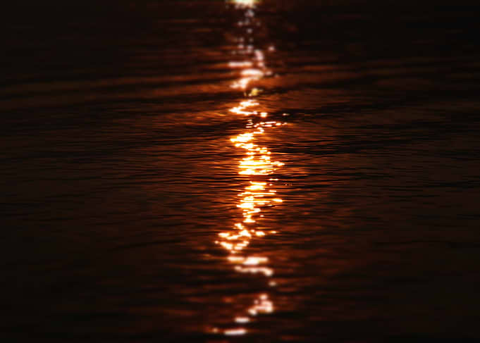 Golden Sunrise