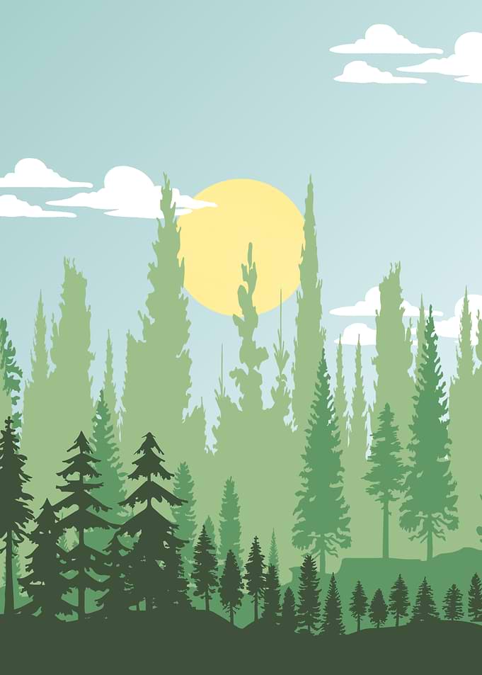 Minimalist Forest Landscape with Sun
