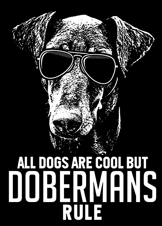 Cool Doberman Sunglasses Graphic