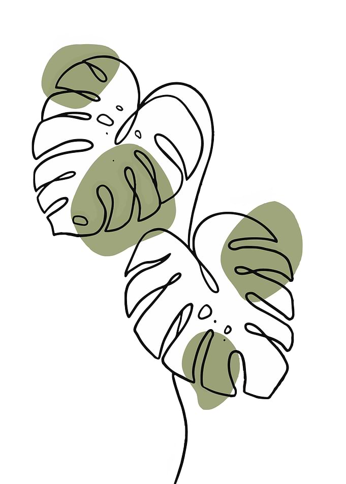 Minimalist Monstera Leaf Line Art