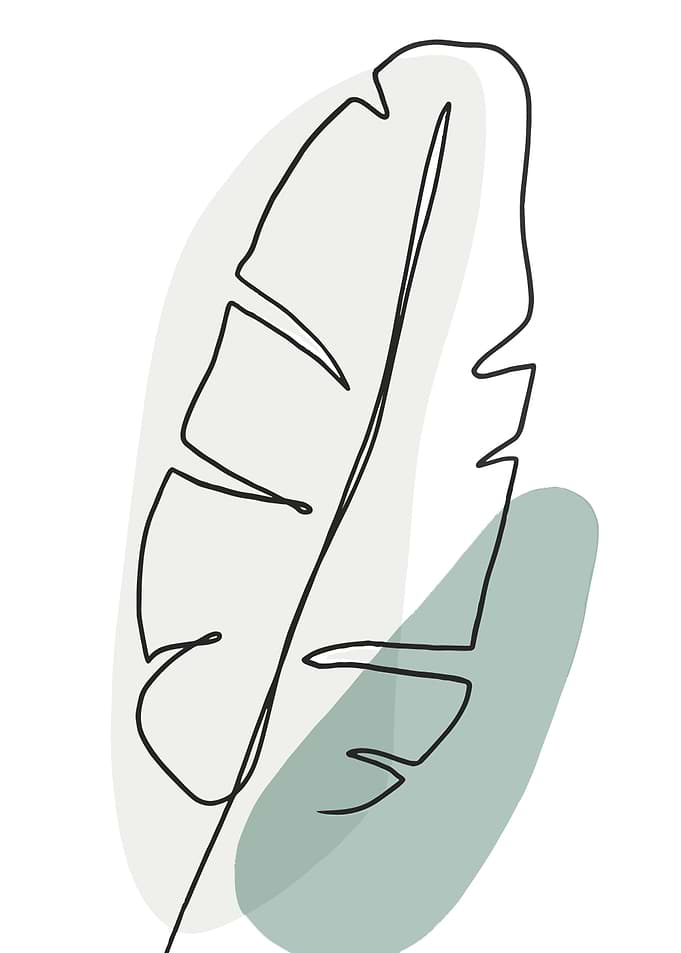 Minimalist Line Art Banana Leaf