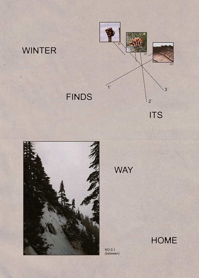 Winter Finds Its Way Home