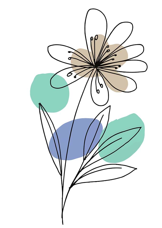 Minimalist Line Art Flower Illustration