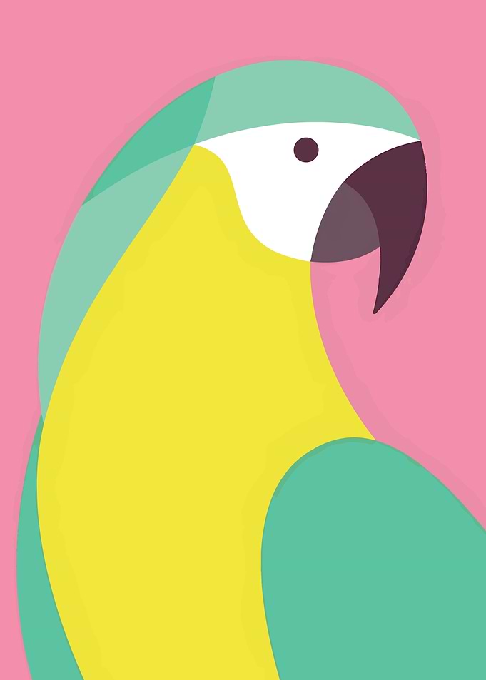Minimalist Colorful Parrot Illustration