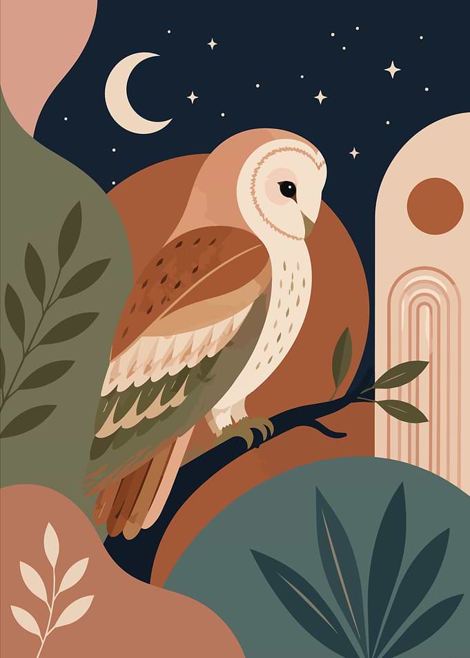 Boho Barn Owl Night Illustration Art