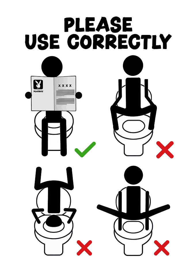 Funny Toilet Usage Instruction Sign