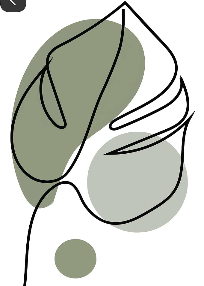 Minimalist Monstera Leaf Line Art