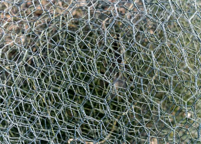 Close-up of Hexagonal Chicken Wire