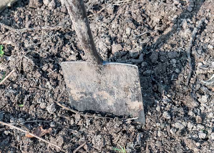 Shovel Stuck in Garden Soil