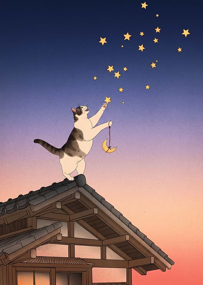 Cat catching stars on roof