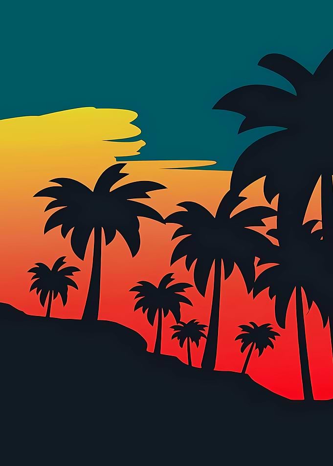 Tropical Sunset Palm Tree Silhouette