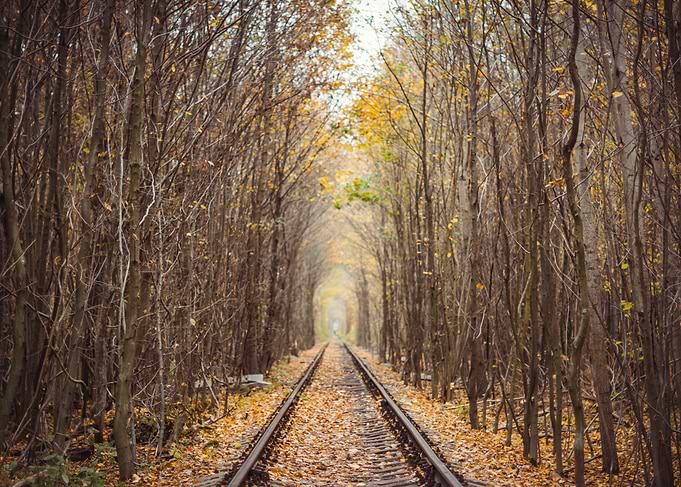 Tunnel of Love Railway in Autumn