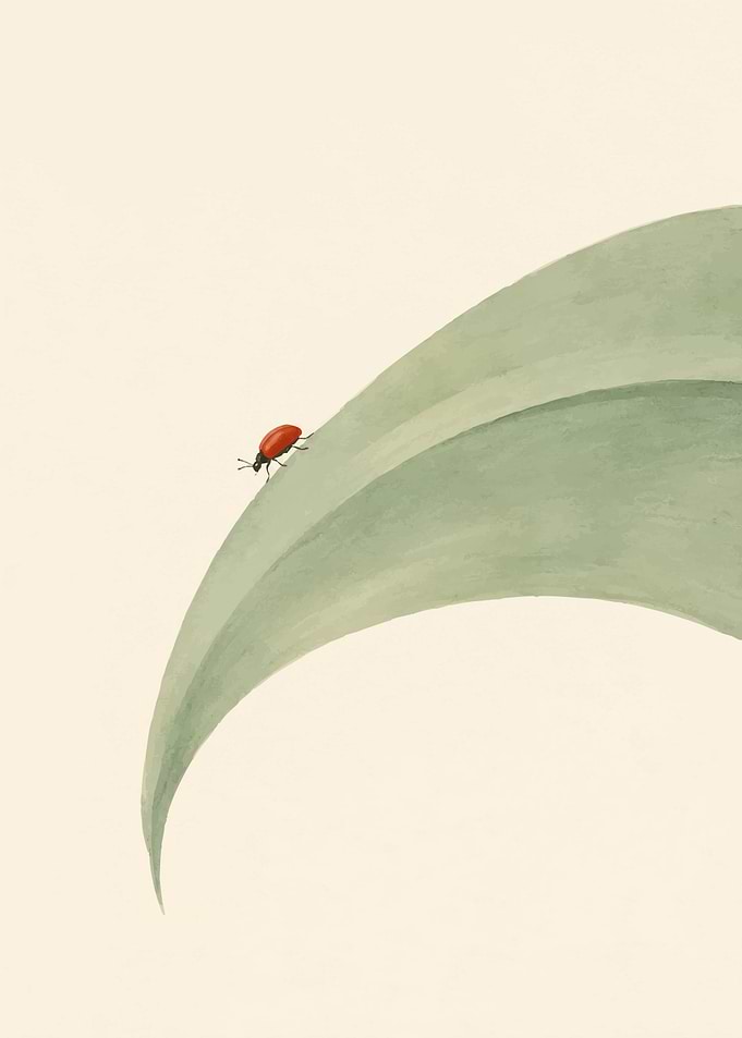 Minimalist Red Beetle on Green Leaf