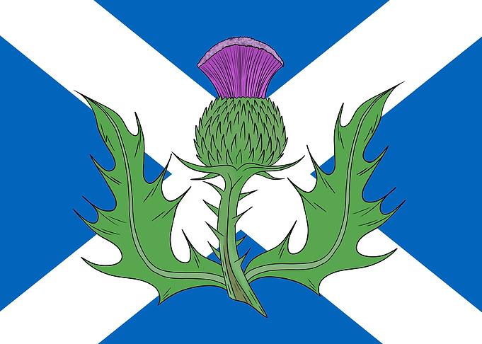 Scottish Flag with Thistle Emblem