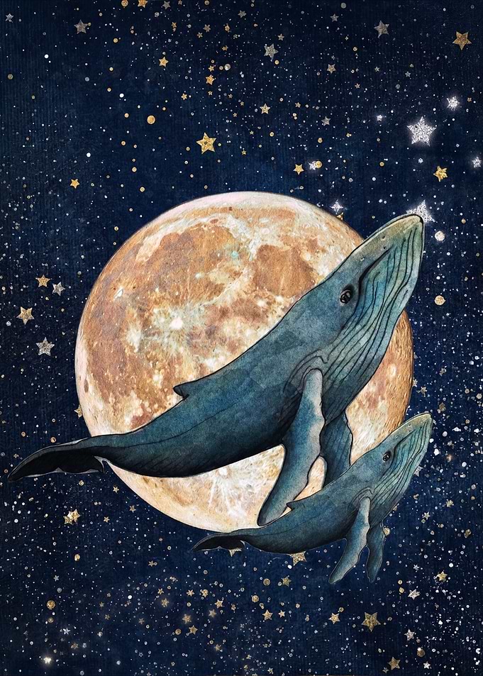 Whales Swimming in Starry Space
