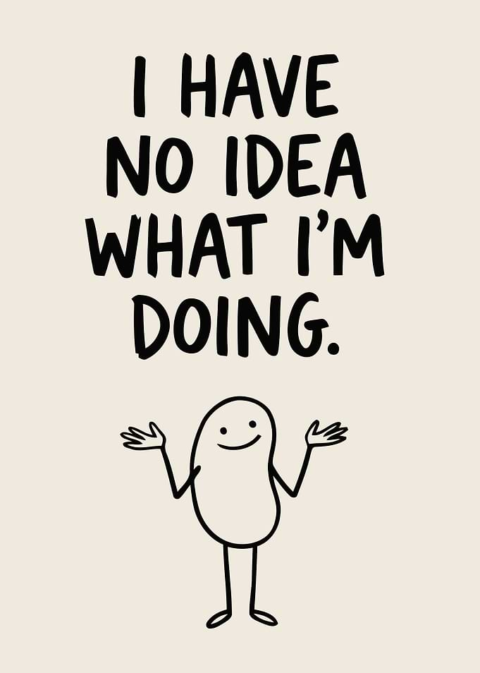 I Have No Idea What I'm Doing