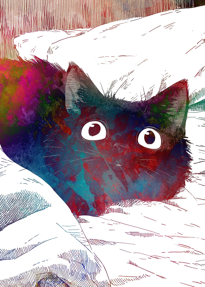 Colorful Artistic Black Cat Portrait