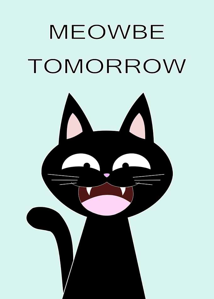 Meowbe Tomorrow Black Cat