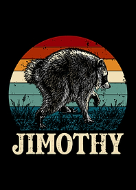 Jimothy Raccoon Retro Sunset Graphic