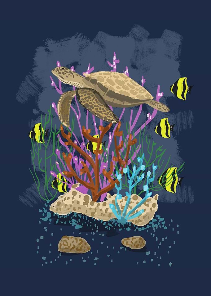 Sea Turtle and Tropical Fish Illustration