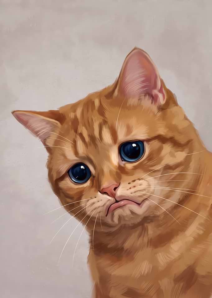 Sad Orange Tabby Cat Portrait