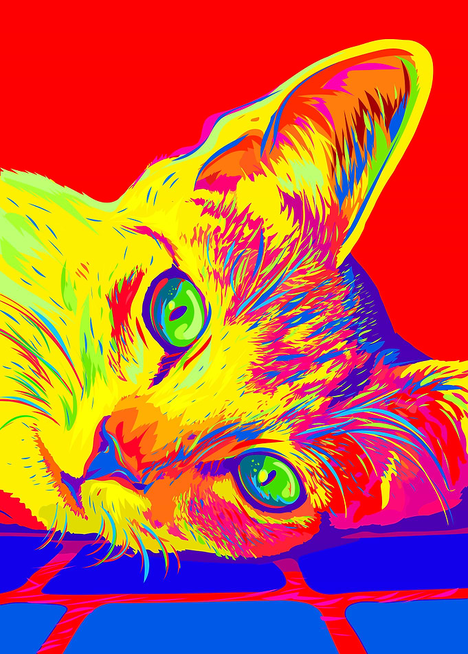 Colorful Pop Art Cat Portrait