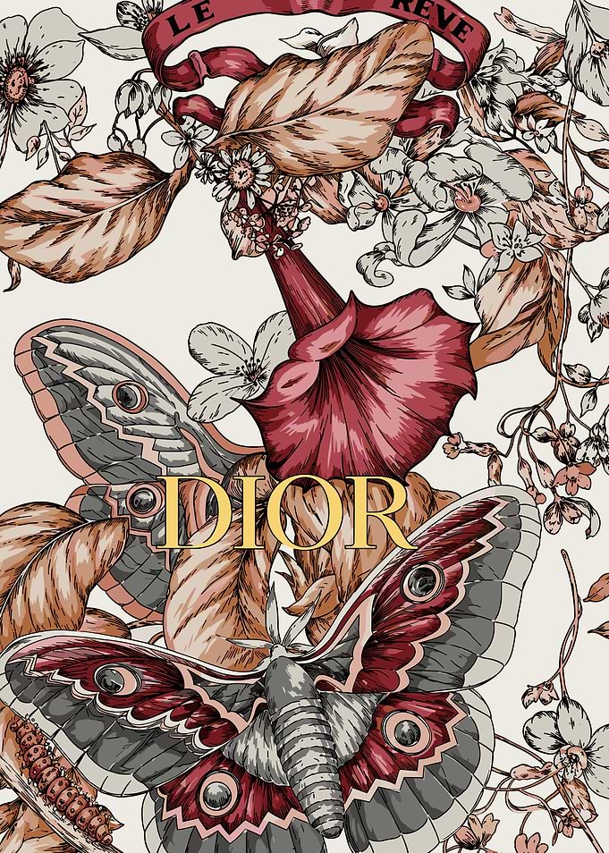 Dior Floral Moth Botanical Illustration