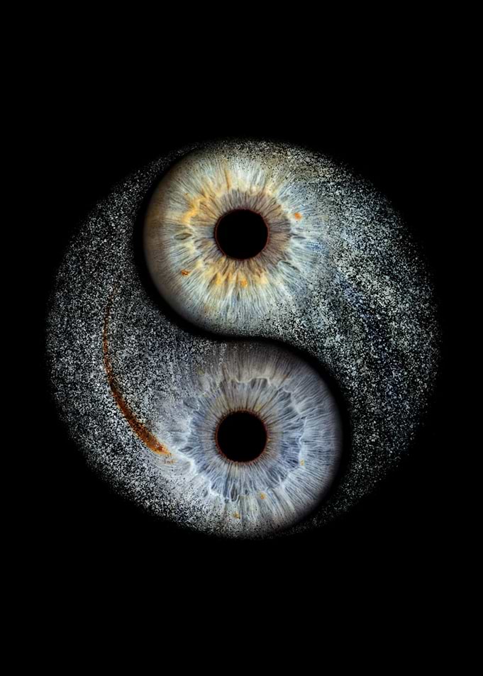 Yin Yang Human Eye Composition