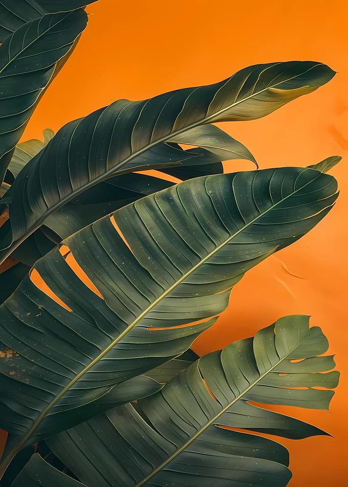Tropical Palm Leaves on Orange Background