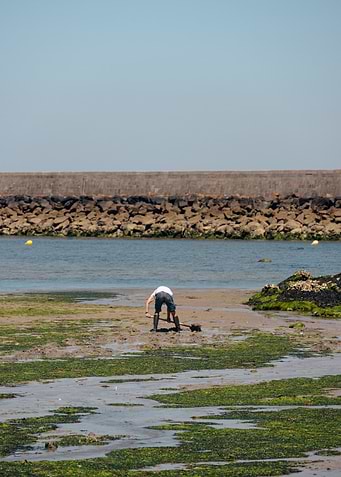 Portrait en bord de mer