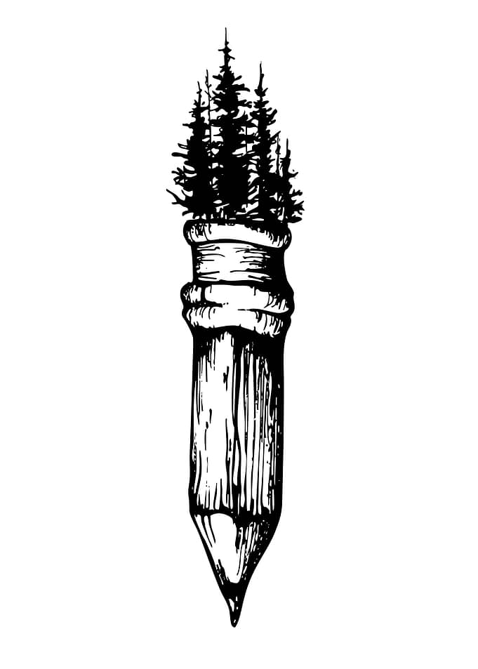 Pencil Growing Pine Forest Illustration