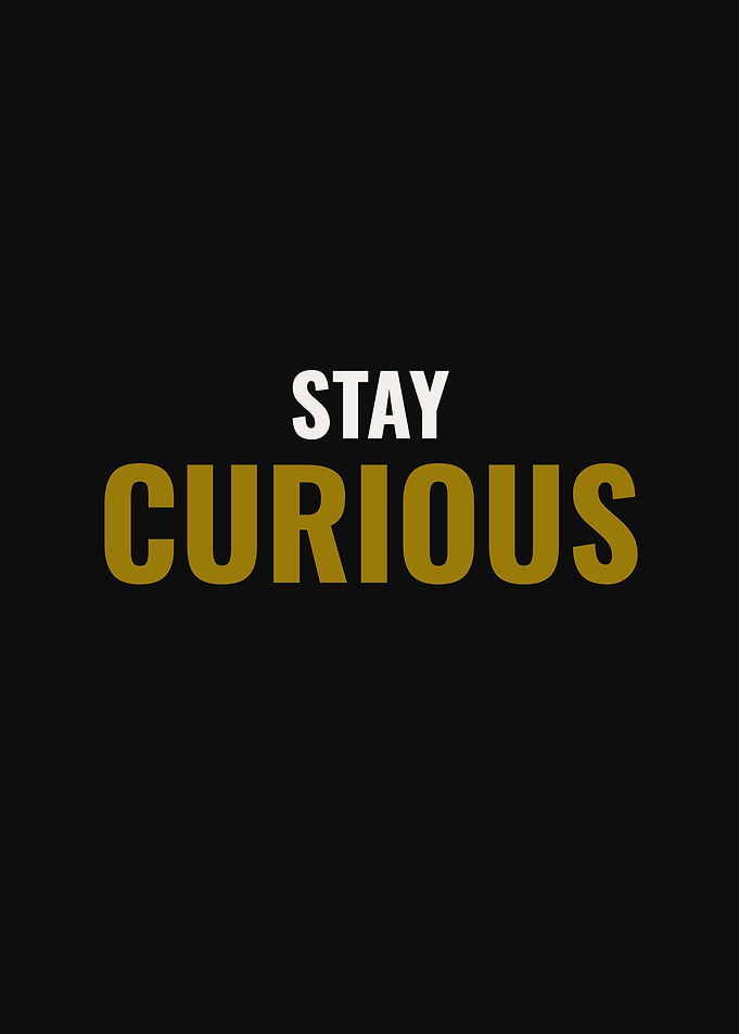 Stay Curious Minimalist Typography Poster