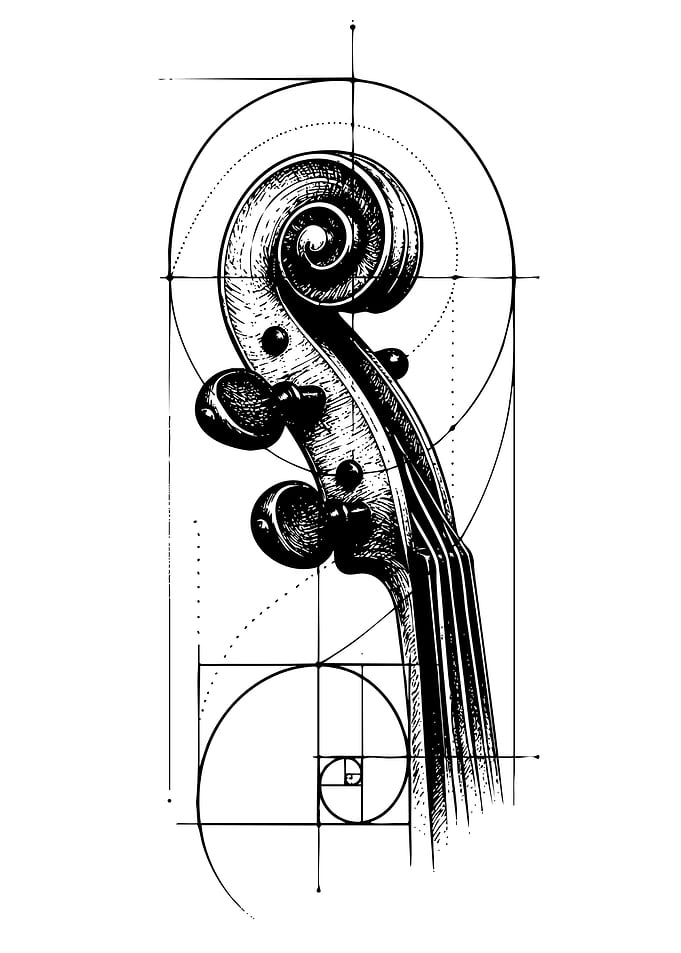 Violin Scroll Golden Ratio Blueprint