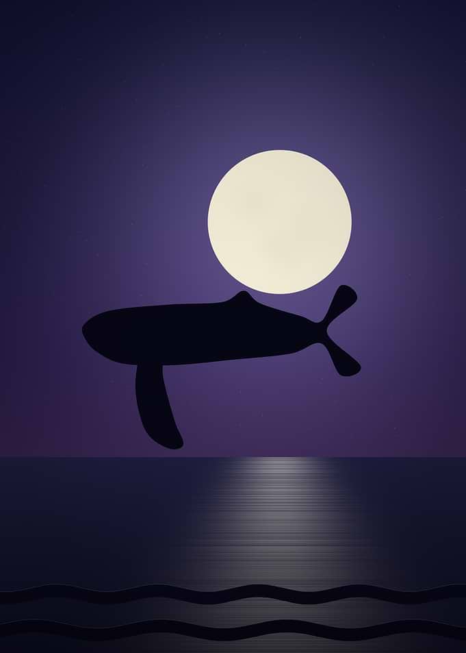 Whale - Minimalist Humpback Under a Full Moon