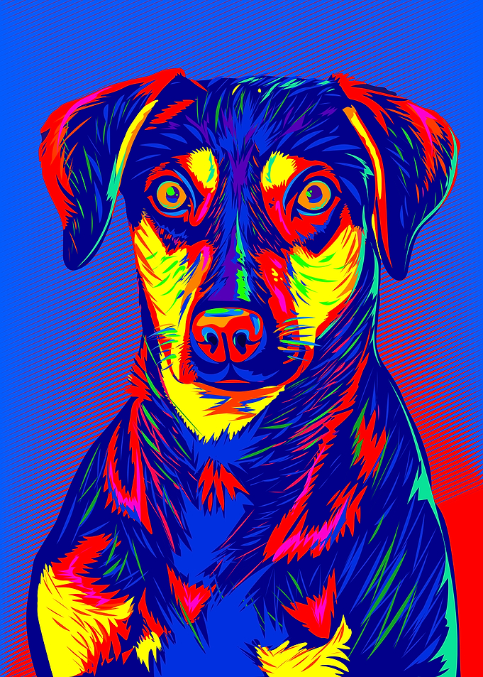 Colorful Pop Art Dog Portrait