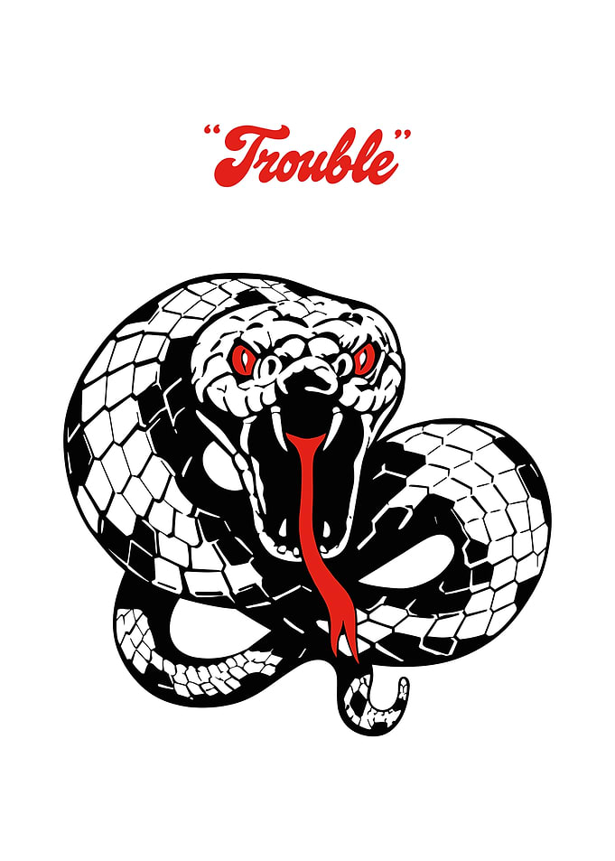 Trouble Snake Graphic Design