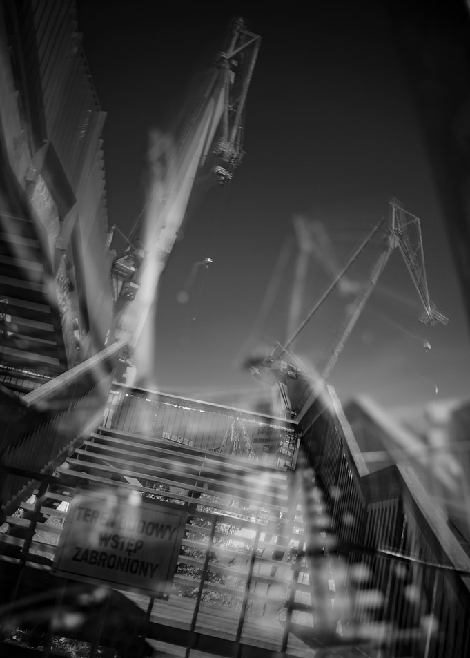 Dreamy Cranes