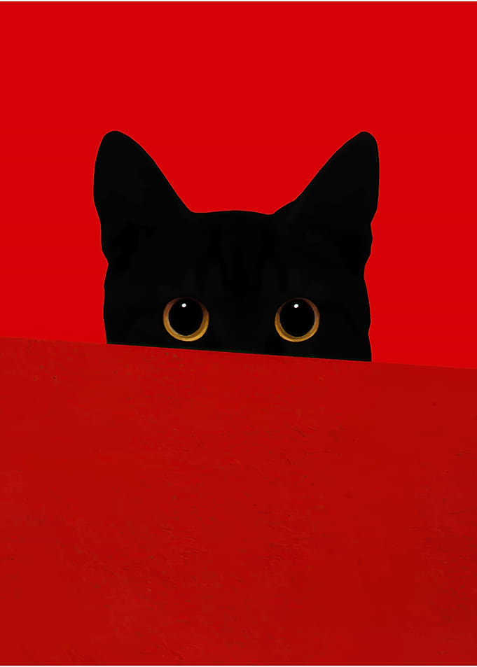 Black Cat Peeking Over Red Wall