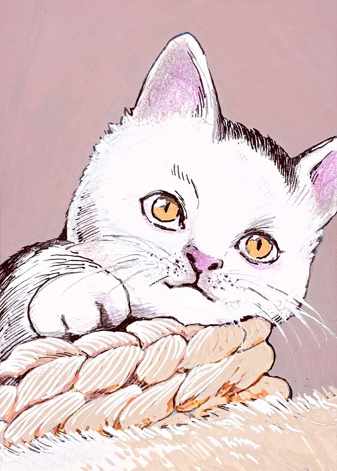 Cute White Kitten Sketch