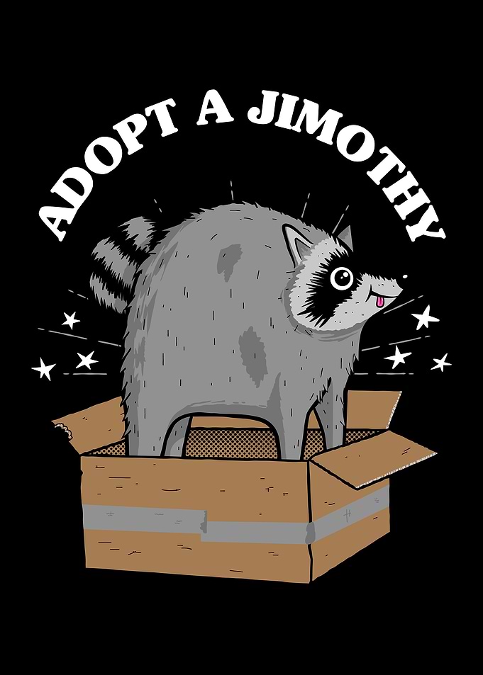 Adopt a Jimothy Raccoon