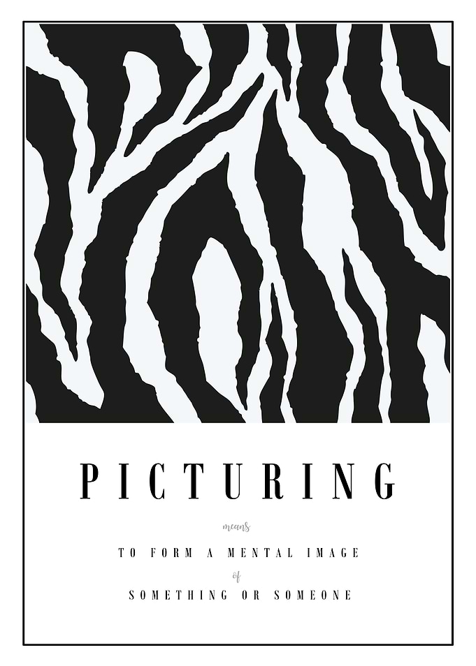 Equus Burchelli Zebra Print Poster