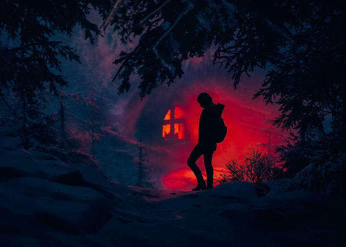 Silhouette in a Snowy Forest