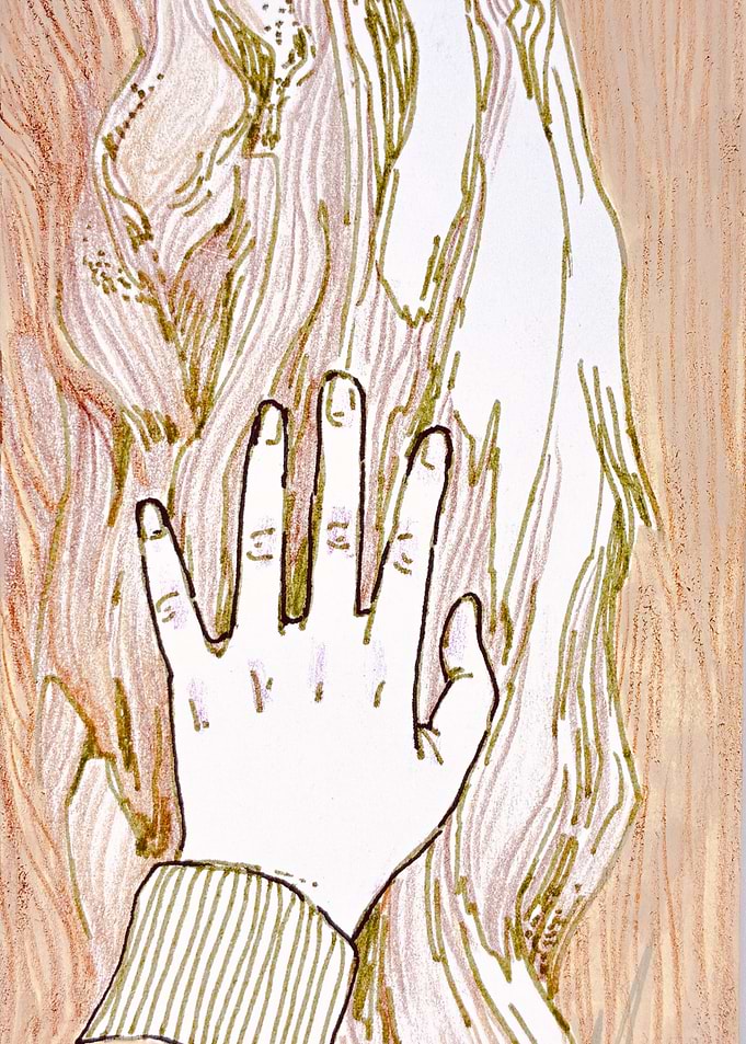 Hand Touching Textured Tree Bark