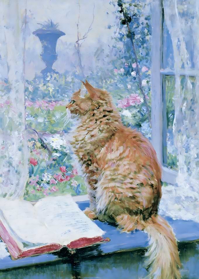 Ginger Cat Sitting by Window