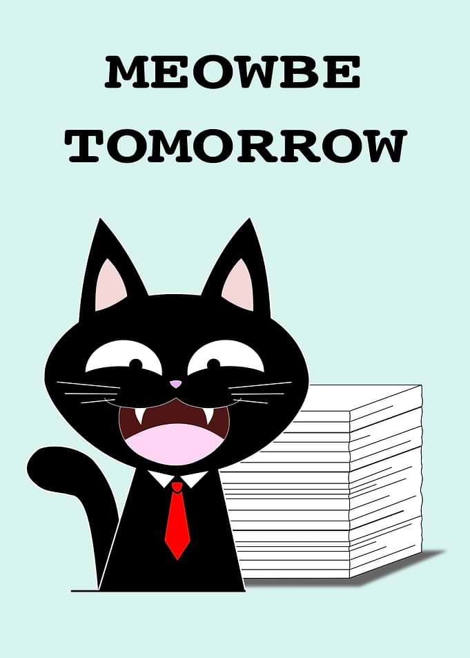 Meowbe Tomorrow Office Cat